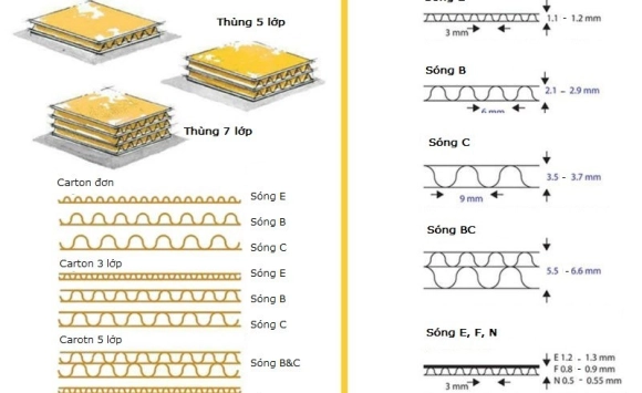 QUY TRÌNH SẢN XUẤT THÙNG GIẤY CARTON