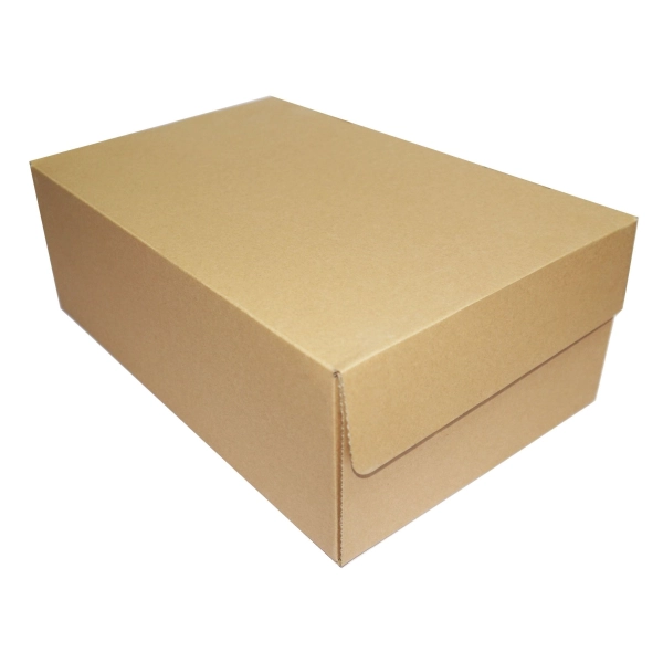 Hộp Giày Carton