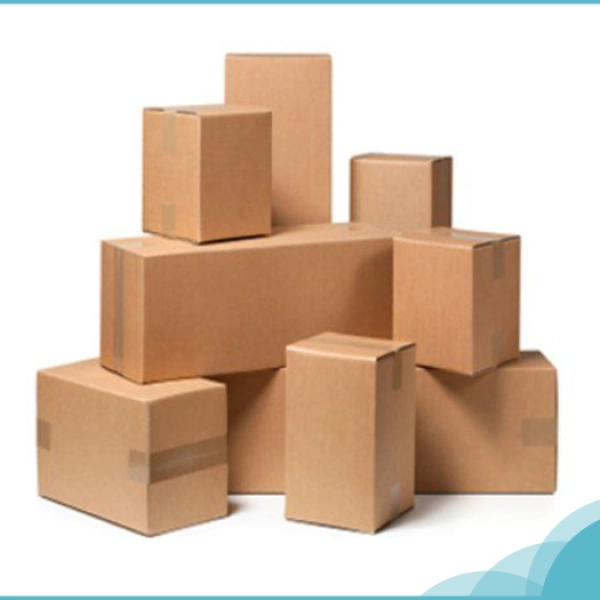 Thùng Hộp Giấy Carton 